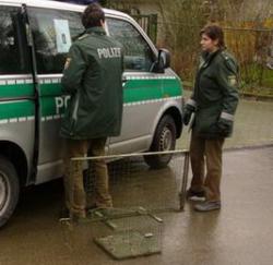 Polizei beschlagnahmt Habichtfangkorb