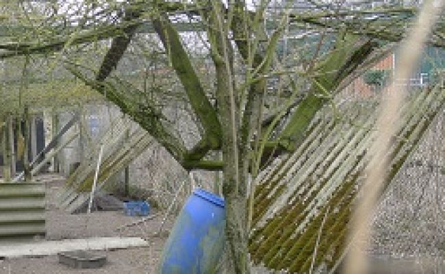 Fangtrichter im Dach einer