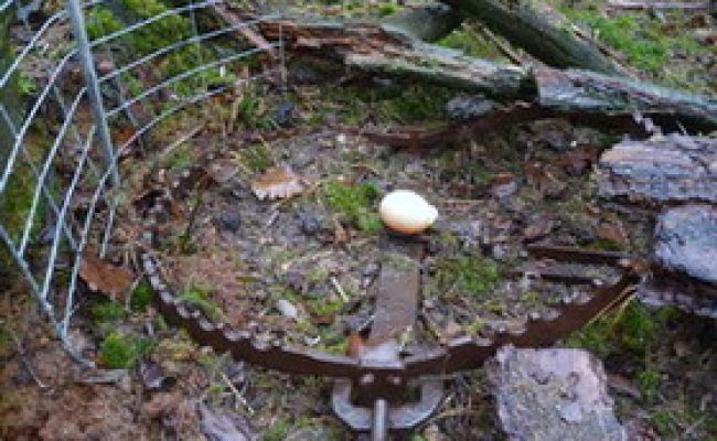 Offen aufgestelltes Abzugeisen