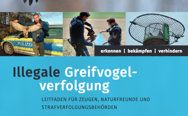 Leitfaden Greifvogelverfolgung